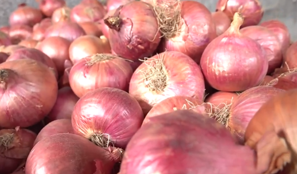 Onion-1