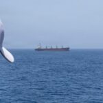 Hormuz-Ports-Ship-Us-Defence-sea